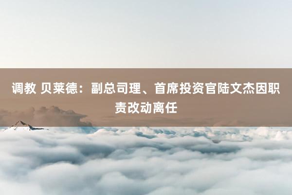 调教 贝莱德：副总司理、首席投资官陆文杰因职责改动离任